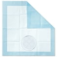thumbnail image 4 of 30ct Paw Inspired 24x24 in Large Dog Pee Pads with Adhesive Tabs, Extra Thick Heavy Duty Absorbent Puppy Potty Training and Incontinence Pads, 4 of 6