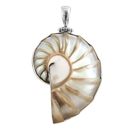 - Ridged Nautilus Shell 925 Sterling Silver Pendant, 2 3/8