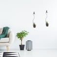 thumbnail image 4 of unbranded 1Ud Gan Exhibidor De Planta De Aire En Hierro Negro Para Uso En Casa, 4 of 8