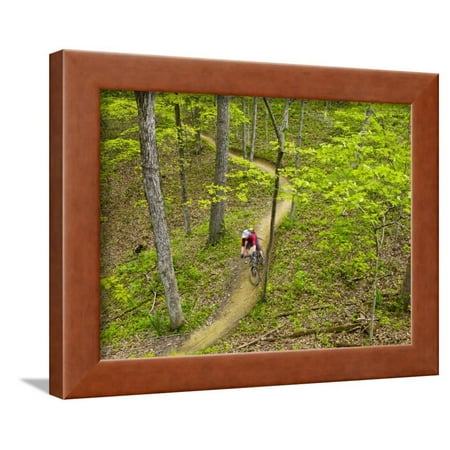 Mountain Biking at Brown County State Park in Indiana, Usa Framed Print Wall Art By Chuck