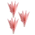 thumbnail image 1 of 45 Ramo De Flores Secas De Caña De Hierba , Regalo De Fiesta En Casa, Decoraciones Bohemias, 1 of 9