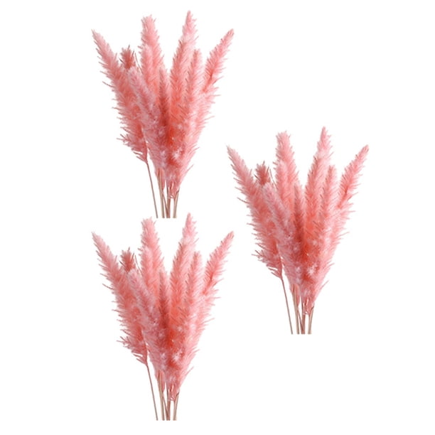 hierba de pampa seca,Decoración seca del dormitorio del hogar de las plumas de la hierba de pampas,Ramo de ramas de pampa seca de caña natural flor,Arreglos caseros Ramo de flores secas