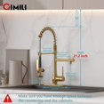 thumbnail image 2 of Grifo de cocina GIMILI en oro cepillado con pulverizador desplegable, 2 of 5