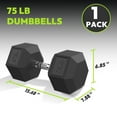 thumbnail image 6 of HANDBODE Hex Dumbbell Rubber Encased Anti-Slip 1 Count 75 lb, 6 of 10