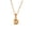 Gold D, variant on Women's Stainless Steel Mini Initial Letter Choker Necklace Alphabet Pendant Charm with Chain, Silver Letter R
