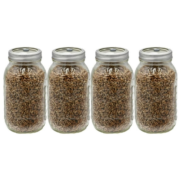 Sterilized Rye Berry Mushroom Substrate in Injectable Quart Jars