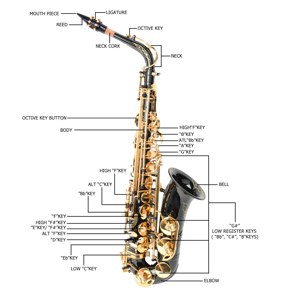 Tcbosik Alto Saxophone, Drop E Brass Sax Kit with Lubricants, Cleaning Cloth, Cleaning Brush, Carrying Case and Strap, Black