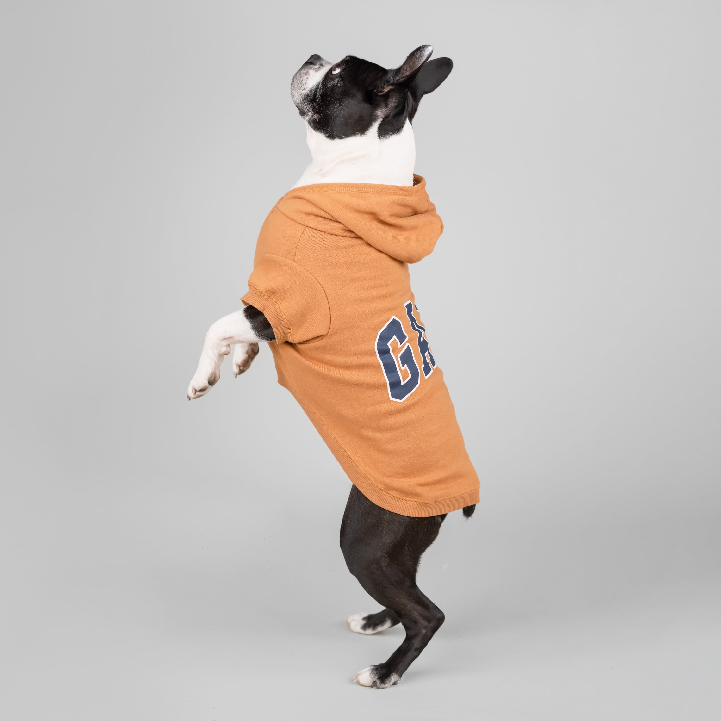 gap cat hoodie