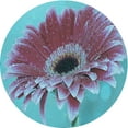 thumbnail image 1 of Ahgly Tapis Rond Lavable en Machine Intérieur Transitionnel Turquoise Bleu Vif, 5 Pieds Rond, 1 of 7