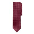 thumbnail image 2 of Jacob Alexander Boys' Prep Polka Dot Print Regular Self-Tie Neck Tie - Burgundy, 2 of 5