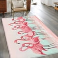 thumbnail image 3 of Pink Flamingo Area Rugs 3x5 for Living Room, Summer Tropical Flamingo Hawaii Animals Non Slip Washable Rug Runner, Low Pile Indoor Floor Carpet Mat Bathroom Rugs for Bedroom, Kids Room, 3 of 9