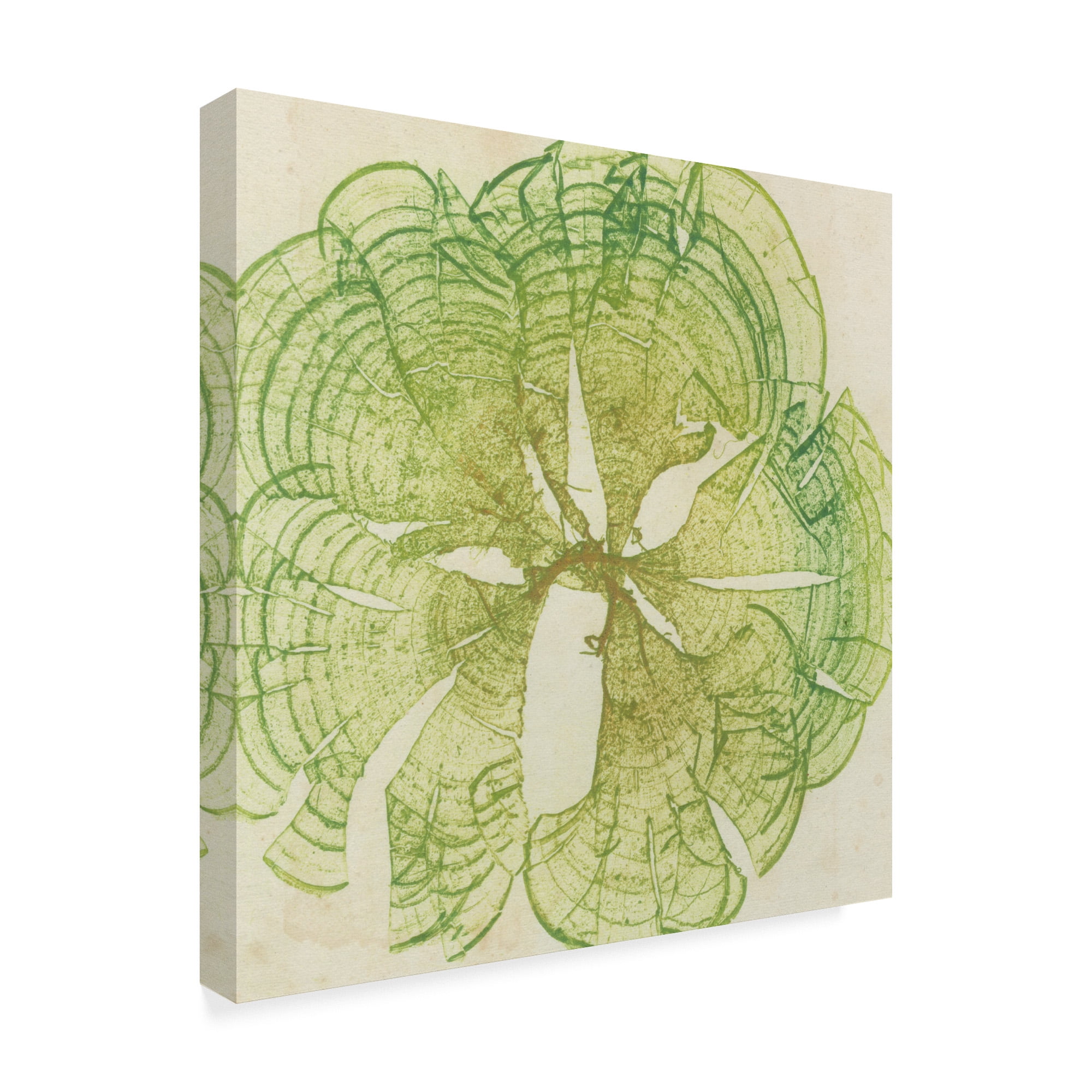 Trademark Fine Art 'Brilliant Seaweed VIII' Canvas Art by Vision Studio