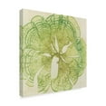 thumbnail image 2 of Trademark Fine Art 'Brilliant Seaweed VIII' Canvas Art by Vision Studio, 2 of 4