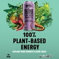 thumbnail image 5 of Yachak Yerba Mate Drink, Blackberry, Bottled Tea Drink, 16 oz, 12 Cans, 5 of 11