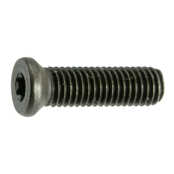 #8-40 x 1/2" Black Oxide T-10 Star Drive Weaver Oval Head Gun Screws (8 pcs.)