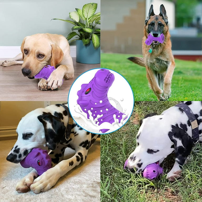 What Is The Toughest Dog Toy