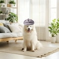thumbnail image 3 of Dog Berets Polyester Fashion Pet Hat French Artist Cat Cap Baseball Cap Party Birthday Wedding Photo Dogs Cats, 3 of 3