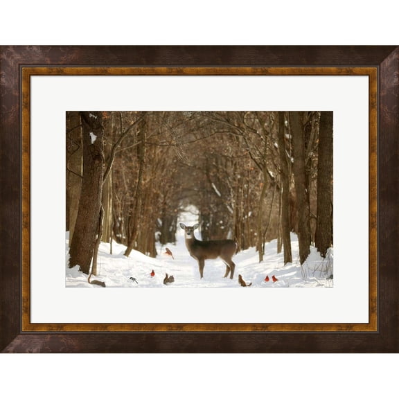 Great Art Now The Forest of Snow White by Carrie Ann Grippo-Pike, Framed Wall Art, 26.5W x 20.5H