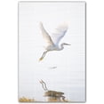 thumbnail image 1 of Picture-Tiles.com: Bird Ceramic Tile Wall Mural WAL500133-46M. 24"W x 36"H using (24) 6" x 6" Ceramic Tiles-Satin Finish, 1 of 3