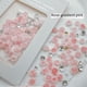 thumbnail image 1 of Embalaje de material mixto de camelia para uñas, decoración mixta de rosas, rosa, 1 of 4