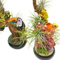 thumbnail image 5 of Resin Tropical Animals Air Plant Sculpture Tillandsia Planted in Hand Made Art Assorted Set of 5, 5 of 9