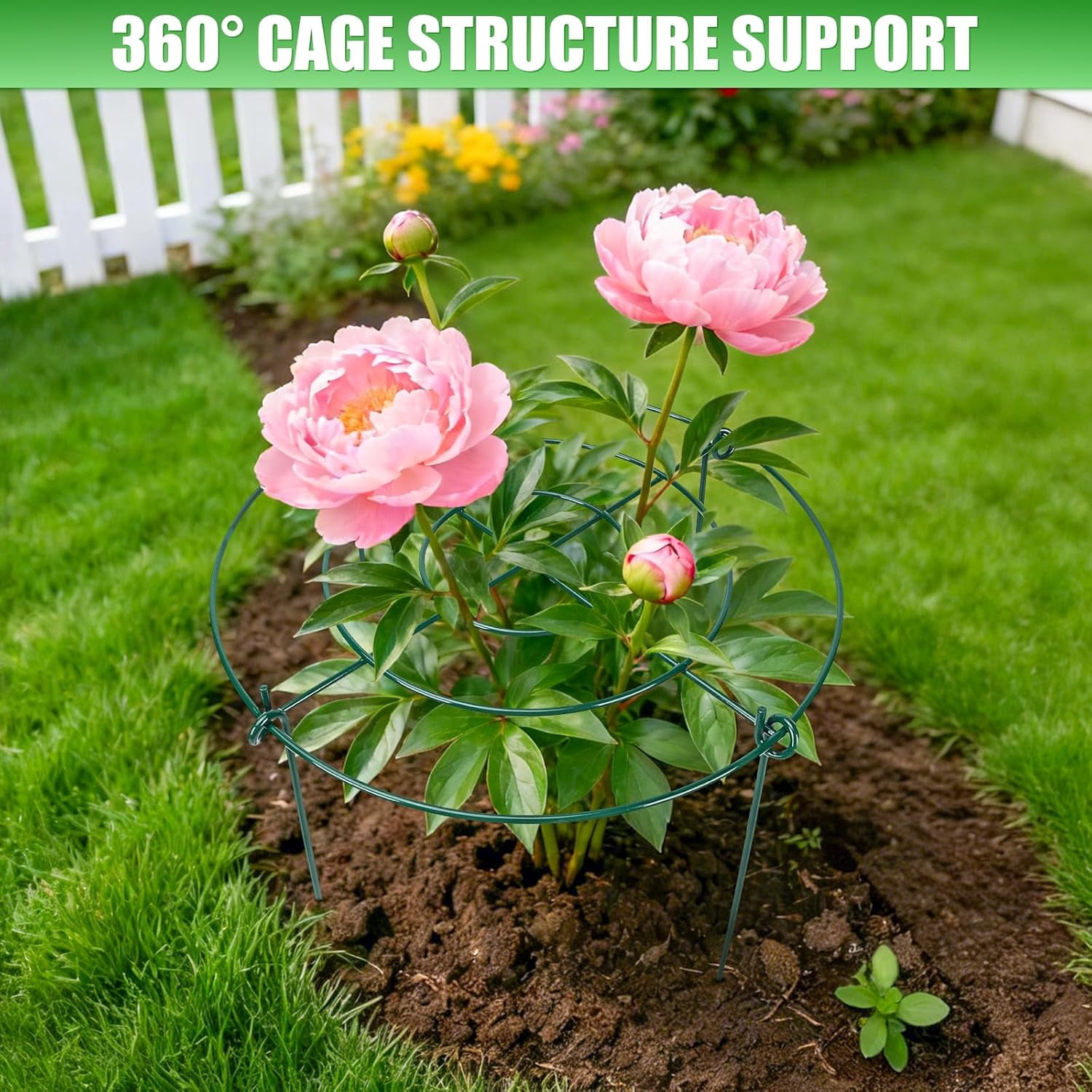 Peony Cages and Supports 8 Pack, 16.5 x 20 Inch Heavy Duty Plant Support Cage Set for Peonies, Roses & Tomatoes – Garden Stakes & s for Outdoor Plants (8 Pack, 16.5 x 20 Inch)