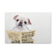 thumbnail image 3 of Cute Dog Reading Newspaper On Toilet Funny Canvas Wall Art for Home Decor Ready-to-Hand, 3 of 18