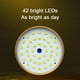 thumbnail image 5 of Electrónica Pisexur para hombres, luces de camping con audio Bluetooth, luces de camping para exteriores, 42 bombillas LED para uso doméstico, carga de teléfonos móviles, luz de estacionamiento USB,, 5 of 8