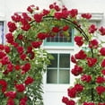 thumbnail image 4 of ATR ART to REAL 78"H x 45"W Garden Arch Trellis,Adjustable Metal Arbor Trellis for Climbing Plants or Wedding Decor, 4 of 9