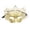 A003- Gold, variant on Masquerade Mask for Women 9 Inch Golden Masquerade Crown Mask Venetian Style Decorative Eye Mask for Halloween Masquerade Party Mardi Gras Prom Accessory, 1 Pack