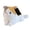 Pink, variant on Weighted Cat Stuffed Animal Realistic Stuffed Cat Toy Throw Pillow Gray Weighted Stuffed Animals for Kids and Adults