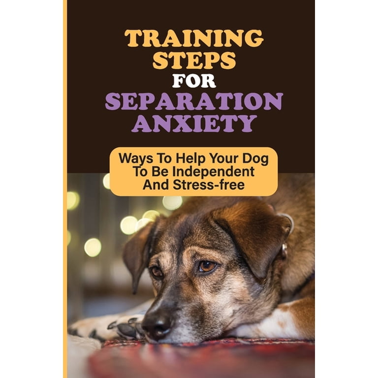 How Do I Help My Dog With Stress And Anxiety