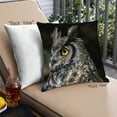 thumbnail image 1 of Ahgly Company Animals Owl Outdoor Throw Pillow, 18 inch by 18 inch, 1 of 6