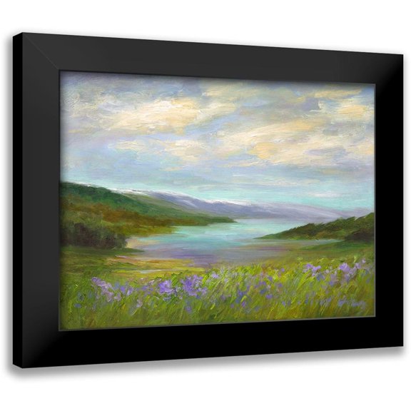 Finch, Sheila 14x12 Black Modern Framed Museum Art Print Titled - Crystal Springs Vista