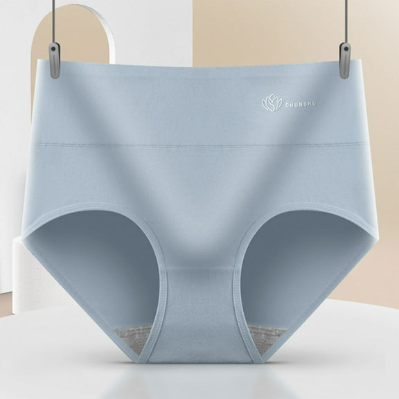 uublik Womens Panties Plus Size Soft Underwear Super Stretchy Briefs Full Coverage Panties Womens Seamless Underwear Blue