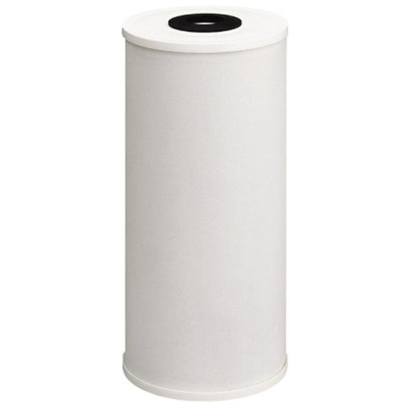 Heavy-Duty Taste & Odor Water Filter Cartridge