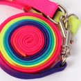 thumbnail image 4 of Dog Leash Colorful Creative Dog Harness Leash Puppy Training Leash with Bell, 4 of 10