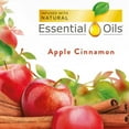 thumbnail image 2 of Air Wick Scented Oil Twin Refill Apple Cinnamon Medley (2X.67) oz (Pack of 4), 2 of 9
