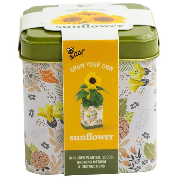 Buzzy Sunflower Flower Grow Kit Decorative Floral Tin Item 97206