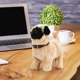 thumbnail image 4 of Juguete interactivo Froplay para perro que camina y ladra con música | Simulación realista de mascota para niños | Material de felpa suave con detección táctil inteligente, 4 of 5