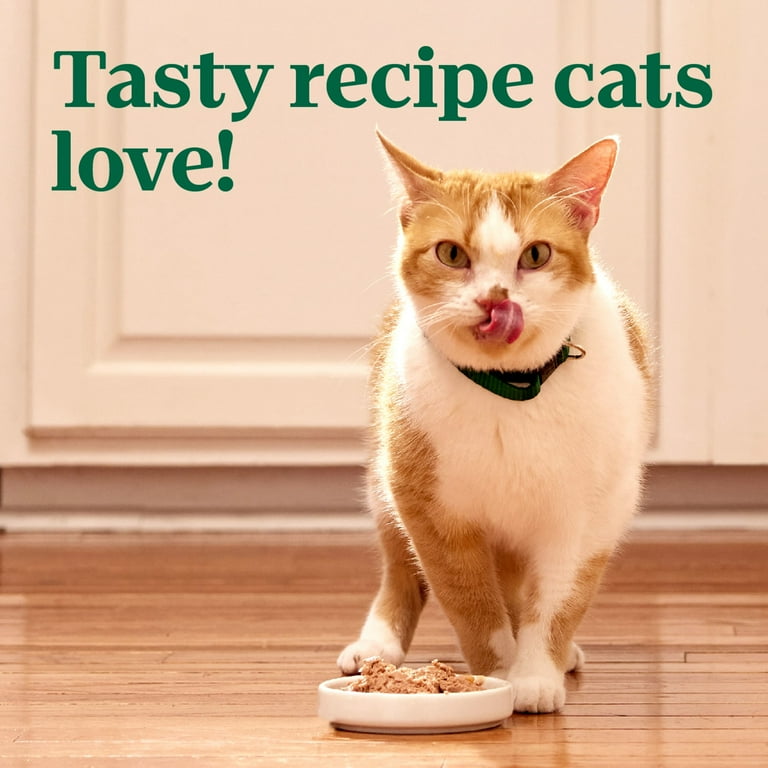 Nutro pate cat food sale