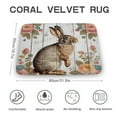 thumbnail image 2 of Easter Rabbit Decor Bunny Decor Farmhouse Bunny Decor Rustic Farmhouse Bath Mat,Bath Rug for Bathroom,Bath Mat Soft Non Slip Bath Rugs 20"x32", 2 of 8