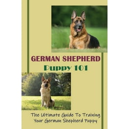 Train Your German Shepherds: Caring, Raising And Training German