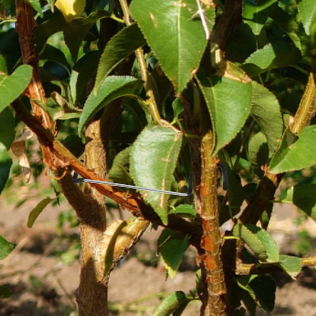 unbranded 20Ud Soporte Para Ramas De Plantas Y Árboles Con Ligero Y Resistente Para Uso En Exteriores