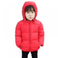 thumbnail image 3 of Boys Girls Kid Winter Thick Jacket Warm Zipper Hooded Windproof Coat Cute Outwear,2-6T, 3 of 6