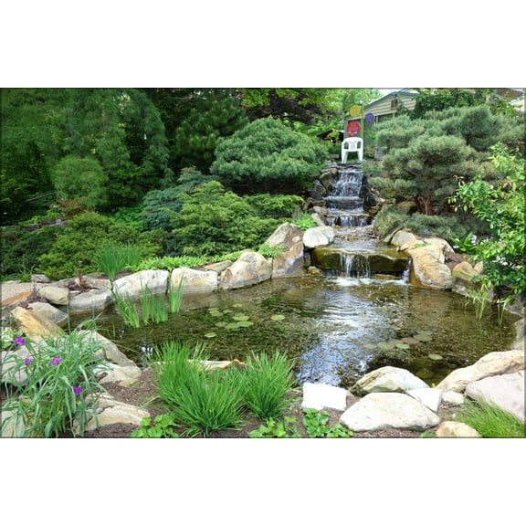 24"x36" Gallery Poster, Hauck Botanic Gardens DSC03766