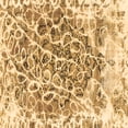 thumbnail image 1 of Ahgly Company Indoor Square Abstract Brown Modern Area Rugs, 5' Square, 1 of 4