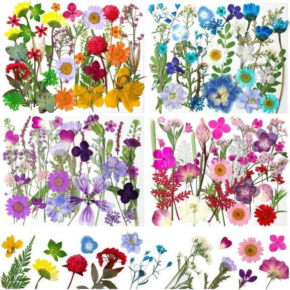 MetalM -140Pcs Dried Pressed Flowers,Natural Dried Flowers Bulk with Dried Leaves for Resin,Mixed Color Dried Flowers for DIY Crafts,Epoxy Resin,Candle Making,Jewelry,Floral DIY Art,DIY Supplies Kits