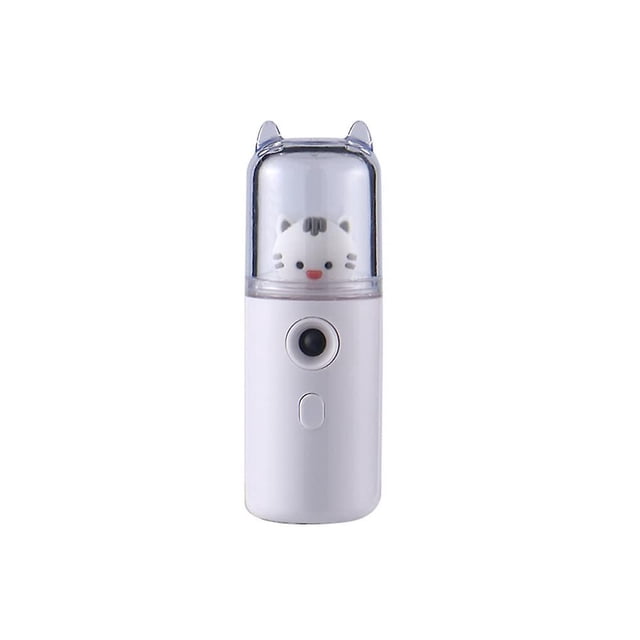 Pulverizador facial eléctrico WEIHJMXG 30 ml Recargable Hidratante Color blanco