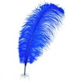 thumbnail image 4 of Zucker Feather Products  17-inch Ostrich Feather Drabs (12 pack), 4 of 5